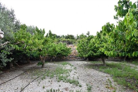 Finca i Motril, Granada, Motril - € 268.000 | Ref: 246 - foto 22